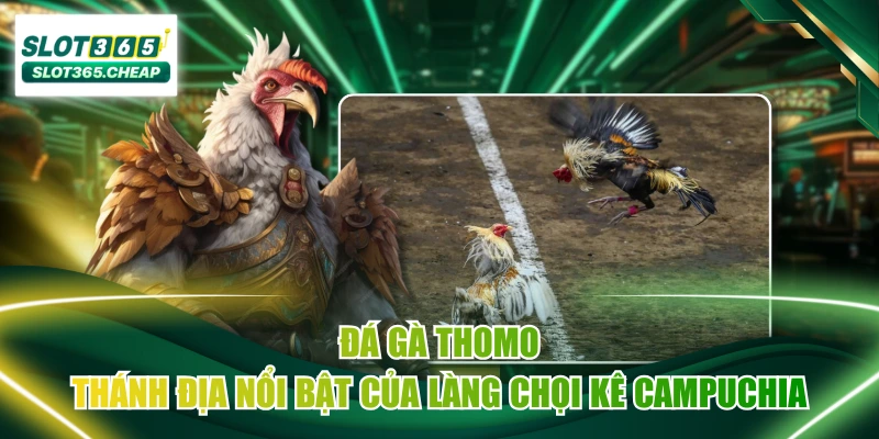 Đá Gà Thomo - Thánh Địa Nổi Bật Của Làng Chọi Kê Campuchia