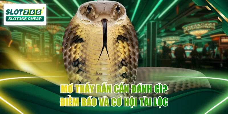 Mơ Thấy Rắn Cắn Đánh Gì? Điềm Báo Và Cơ Hội Tài Lộc